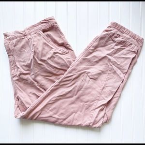 Anthropologie Pink Chino Pants Sz 22